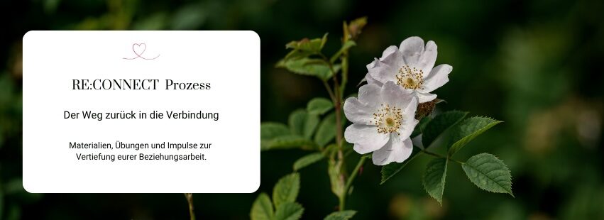 Beziehung leben | Akademie